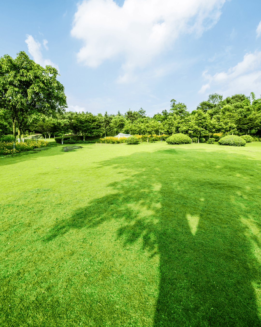 BANNERS DE EJEMPLO PARA TRABAJOS CRESPO LAWN-01