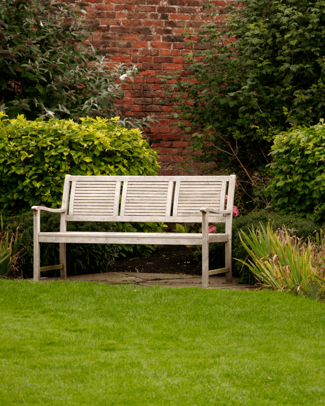 BANNERS DE EJEMPLO PARA TRABAJOS CRESPO LAWN-04